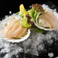 SA16.Scallop / 带子