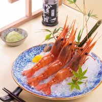 SA17. Botan Shrimp / 加拿大牡丹虾