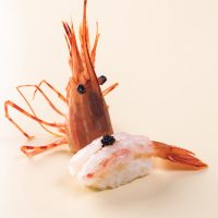 NS11. Botan Shrimp Sushi / 加拿大牡丹虾寿司