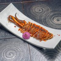 Y3.Sauce-Grilled Squid / 鱿鱼山贼烧（酱烤）