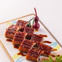 Y9.Grilled Eel Kabayaki /蒲烧鳗鱼